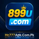 899u Game